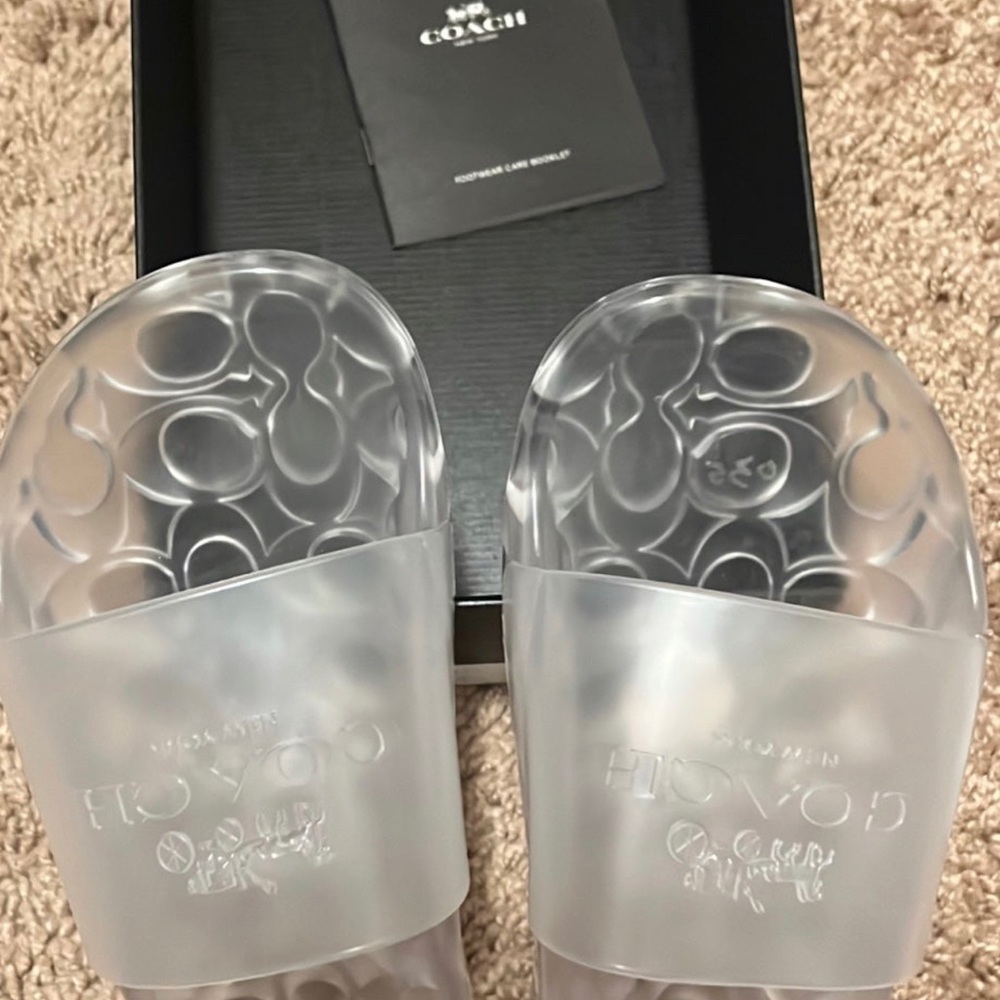 Clear coach slides